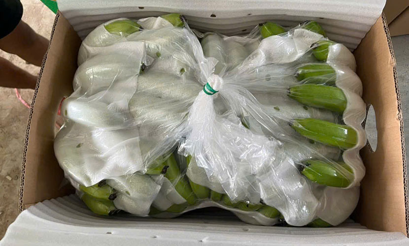 Vietnam's banana carton boxes