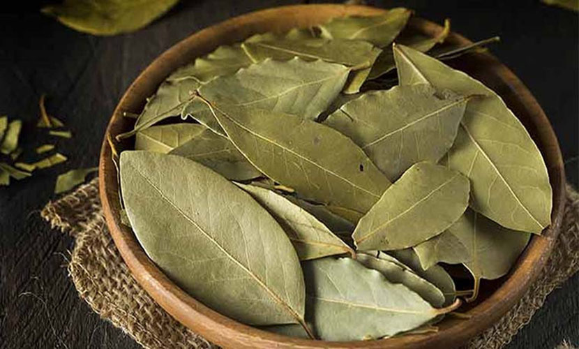 Vietnam's bay leaves