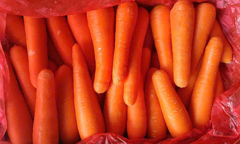 Vietnam's carrot for export