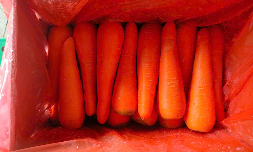 Vietnam's carrot packing box