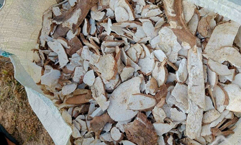 Vietnam's cassava chips