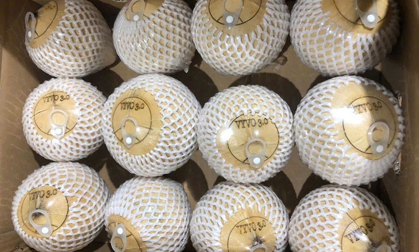 Vietnam's coconut for export