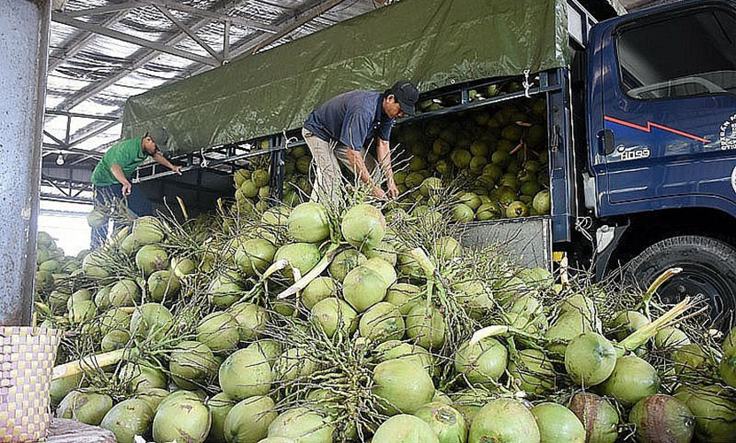 Vietnam's coconut materials