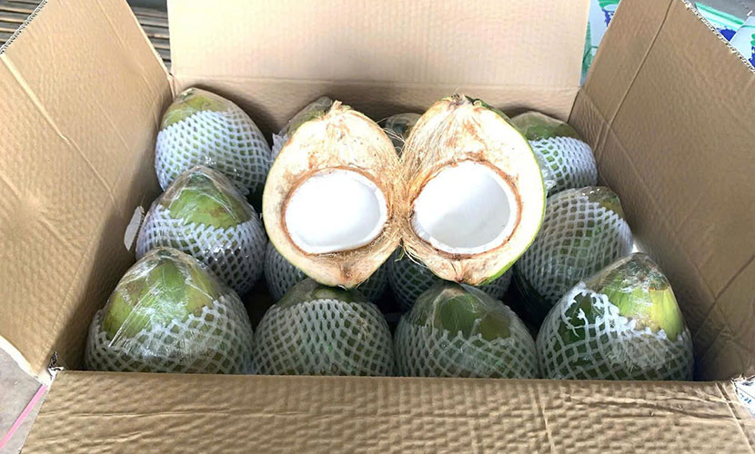 Vietnam's coconuts