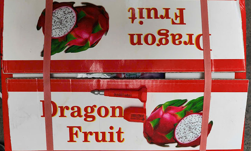 Vietnam's dragon fruit box