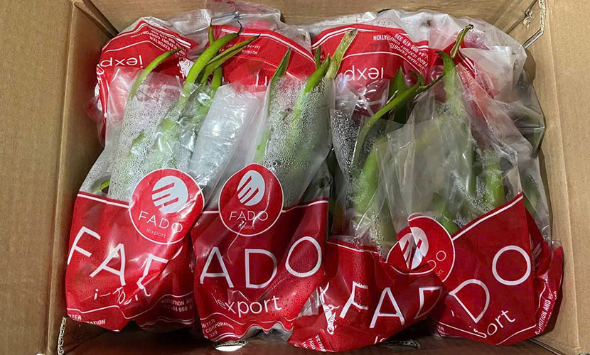 Vietnamese dragon fruit