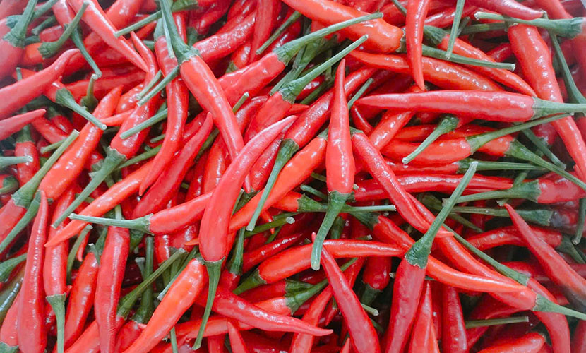 Vietnam's fresh chili