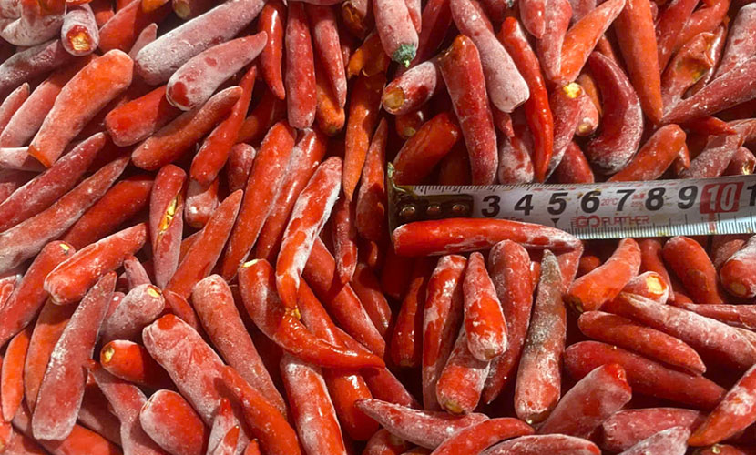 Frozen chili from Vietnam