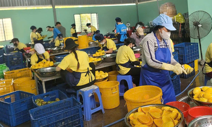 Vietnamese mango factory