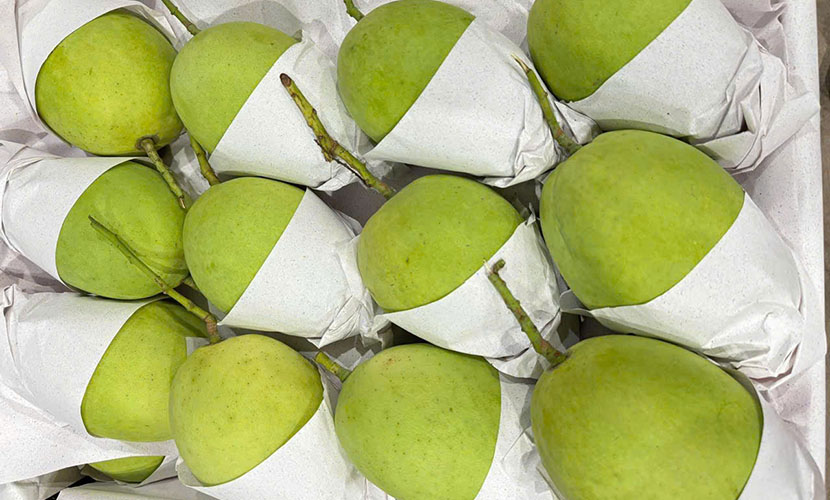 Vietnam's mango
