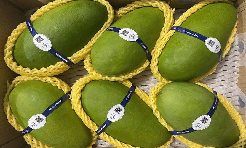 Vietnam mangoes