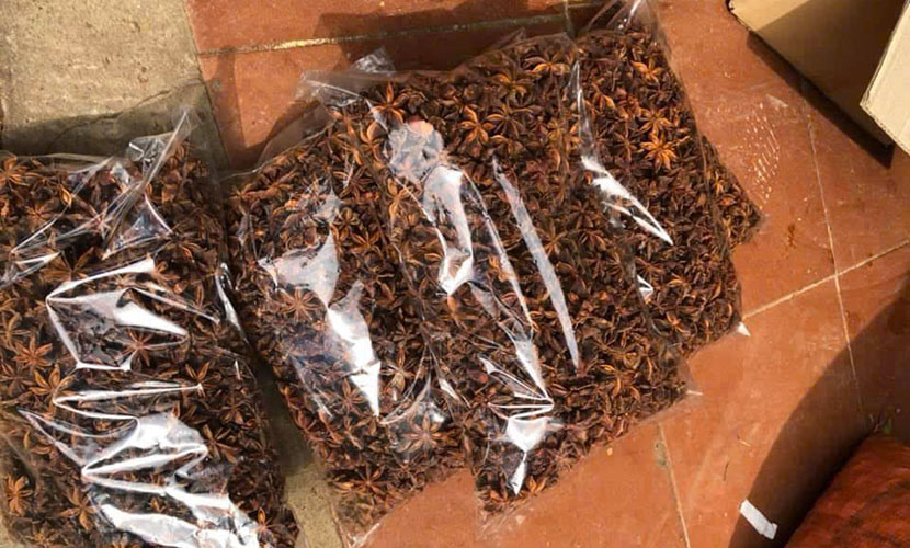 Vietnamese organic star anise for export