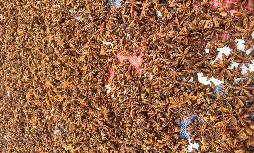Vietnam organic star anise