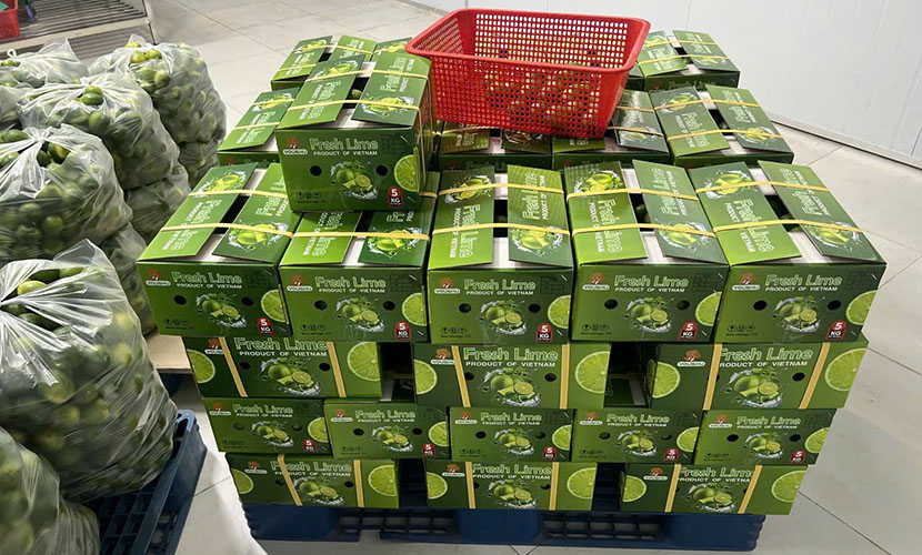 Vietnam's seedless lime box