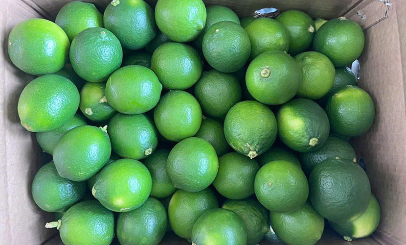 Vietnam's seedless limes