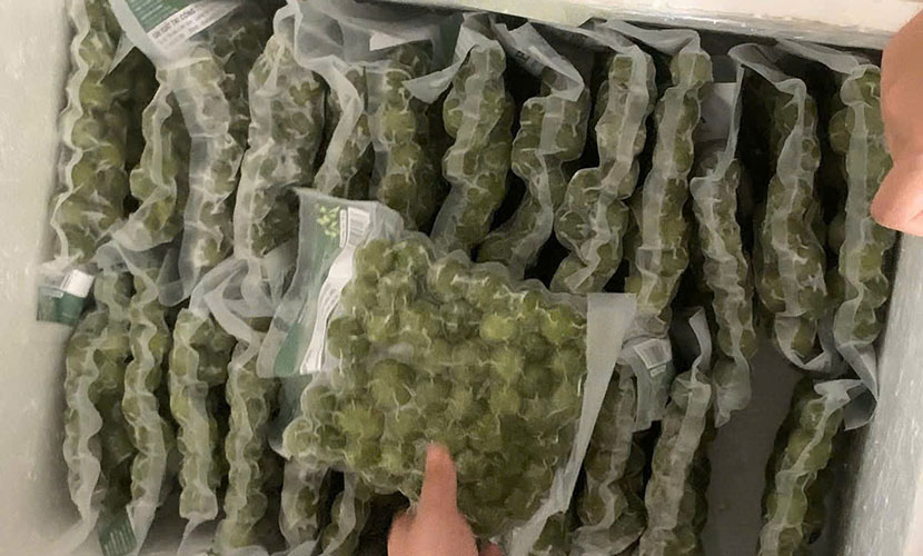 Vietnamese agricultural commodities