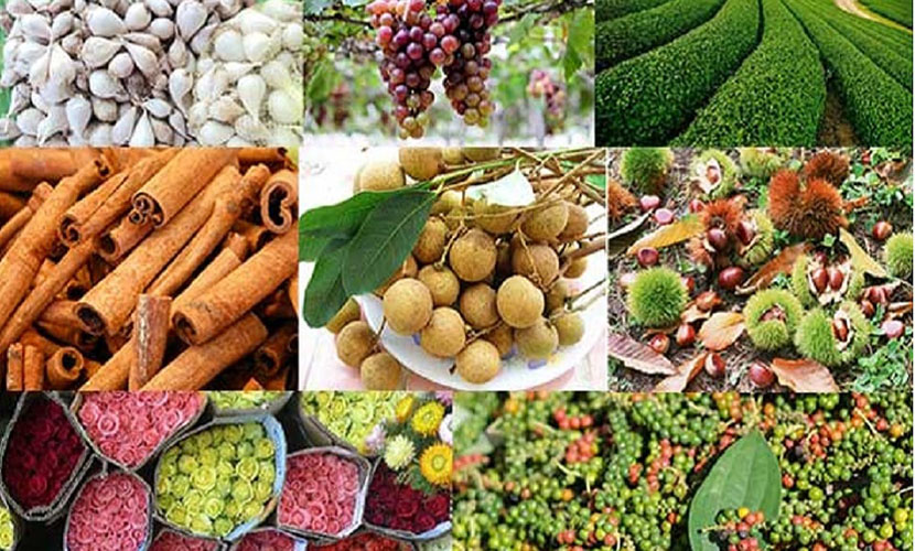 Vietnamese agricultural products