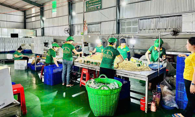 Vietnamese agriculture exports