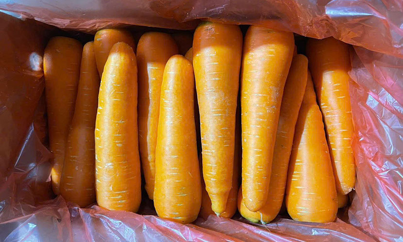Vietnamese carrot exports