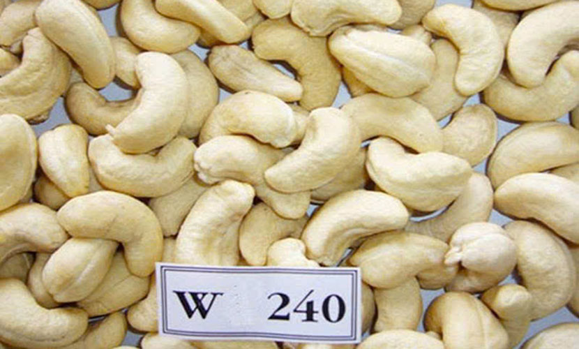 Vietnamese cashew exports