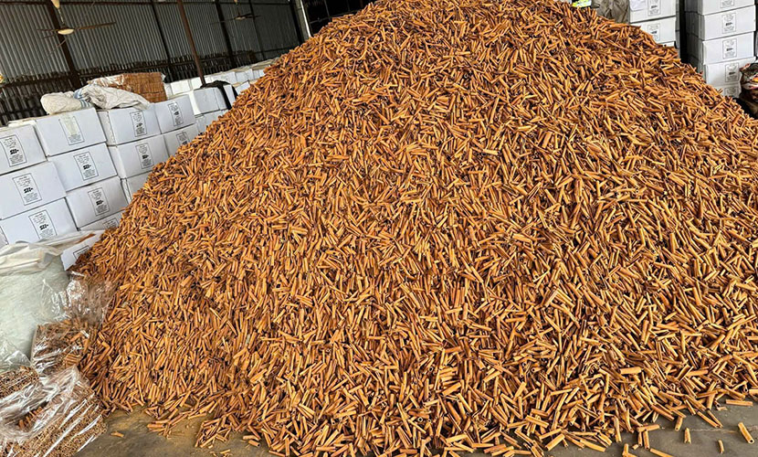 Vietnamese cassia sticks