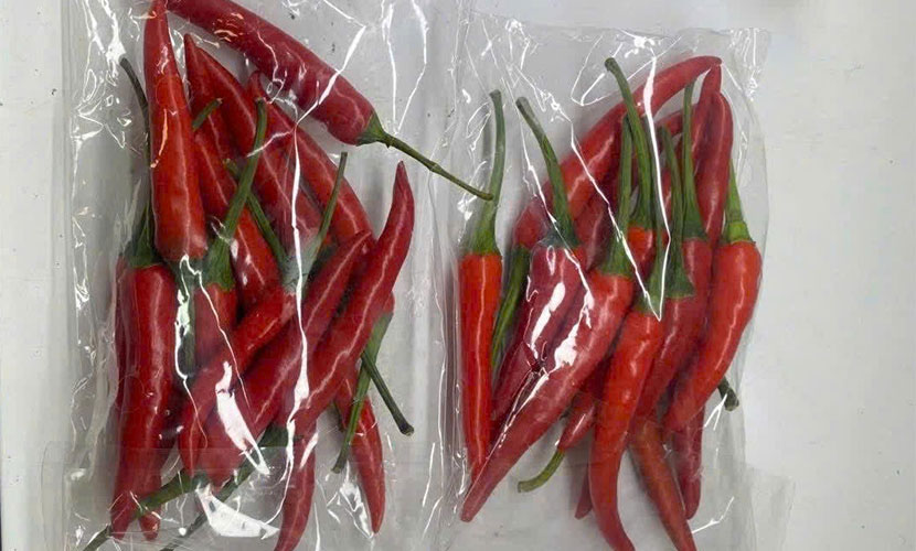 Vietnamese chili pepper