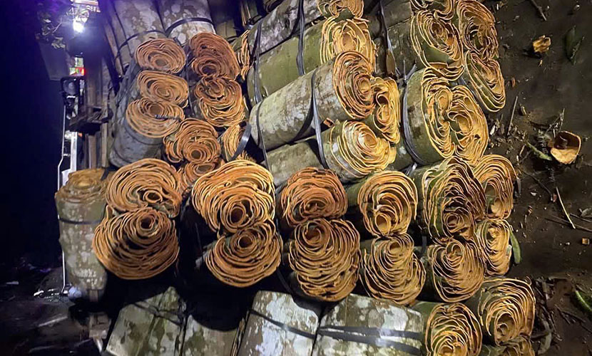 Vietnamese cinnamon barks