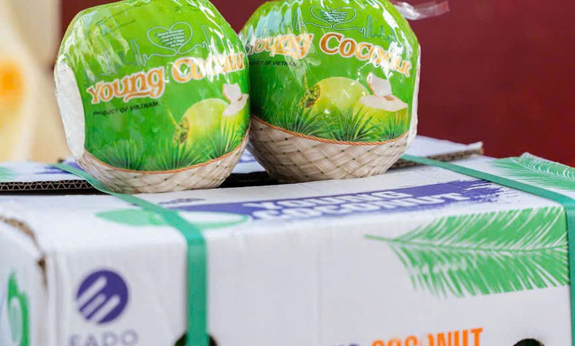 Vietnamese coconut box