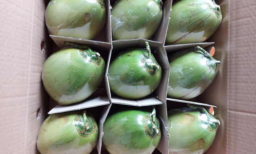 Vietnamese coconut exports