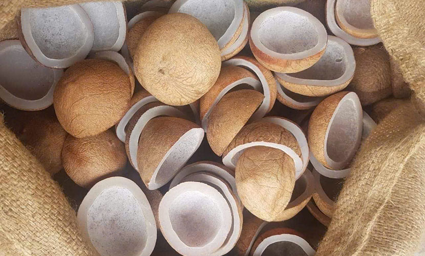 Vietnamese coconut meat