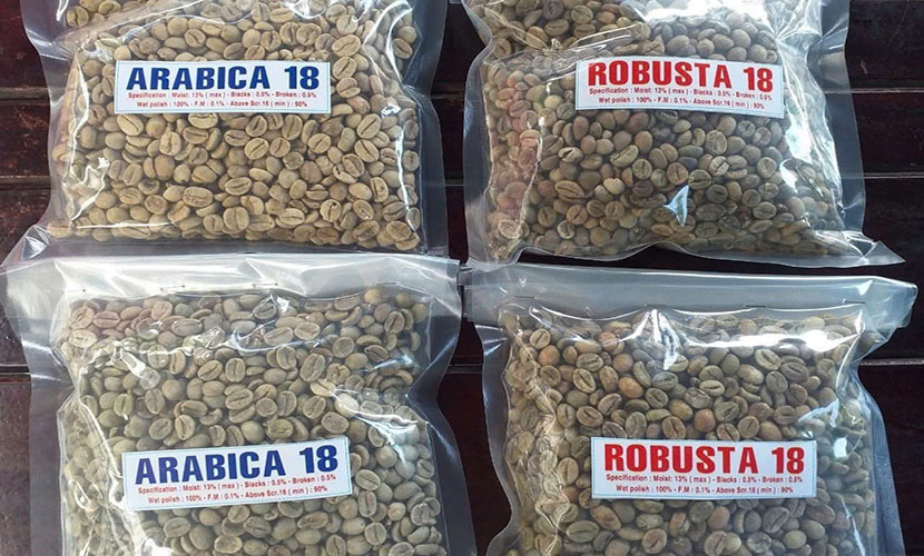 Vietnamese coffee bean