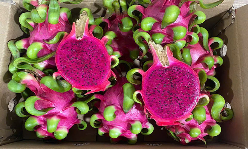 Vietnamese dragon fruit