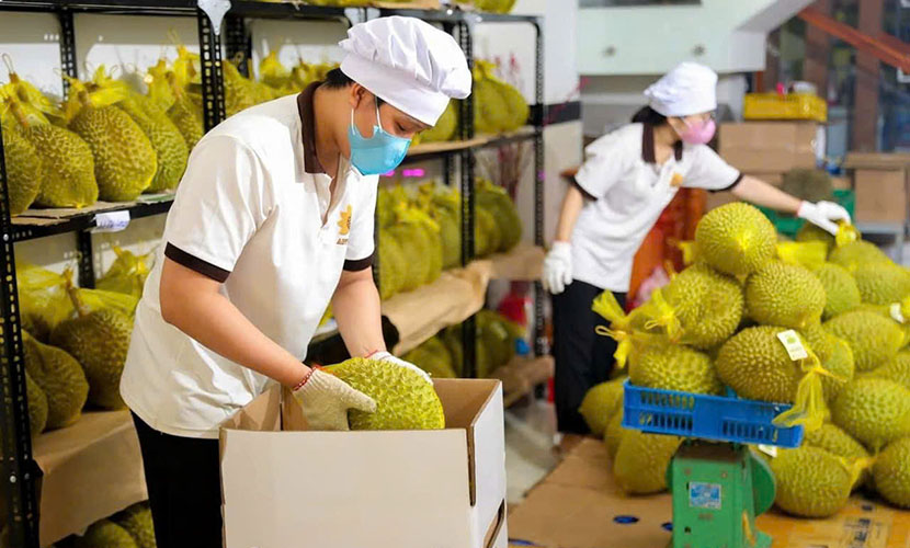 Vietnamese durian exports
