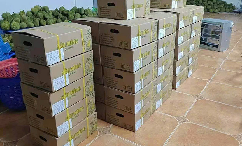 Vietnamese durian factory