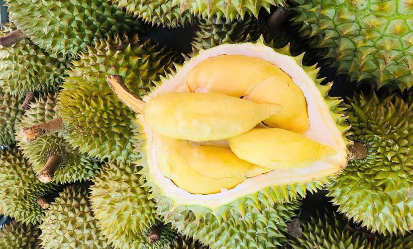 Vietnamese fruits: Durian