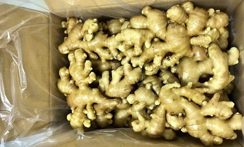 Vietnamese ginger exports