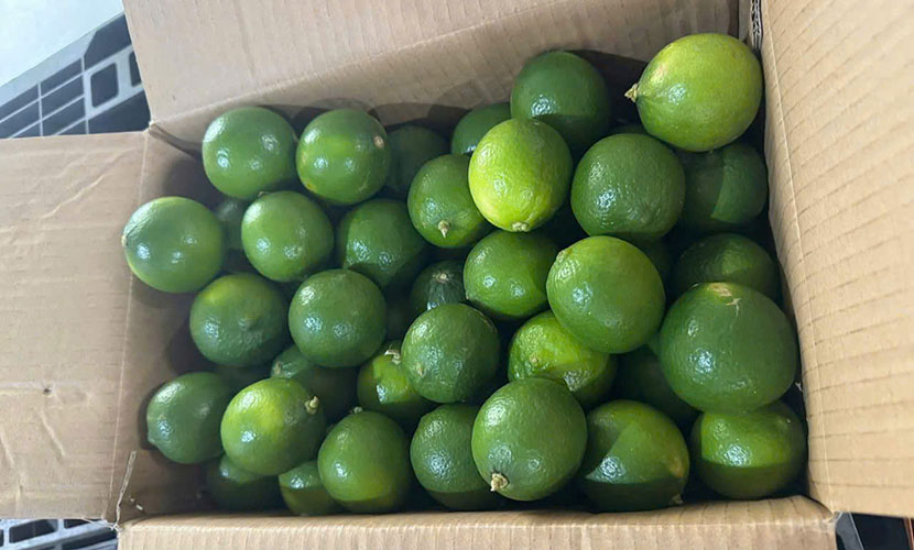 Vietnamese green lime box