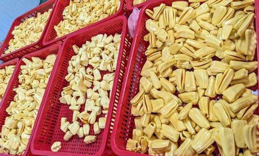 Vietnamese jackfruit