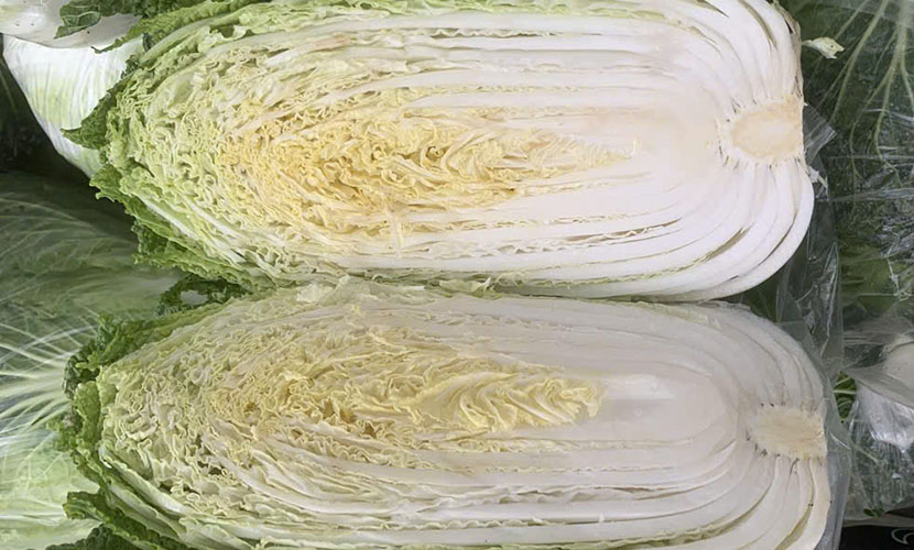 Vietnamese napa cabbage