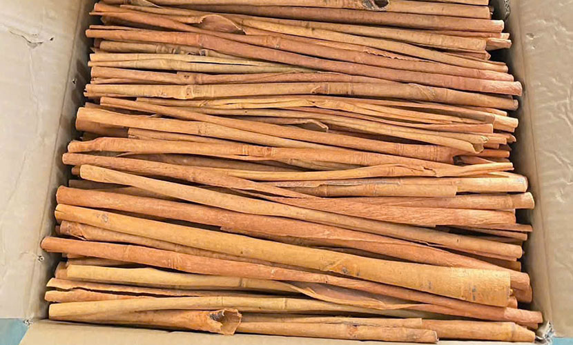Vietnamese organic cinnamon products