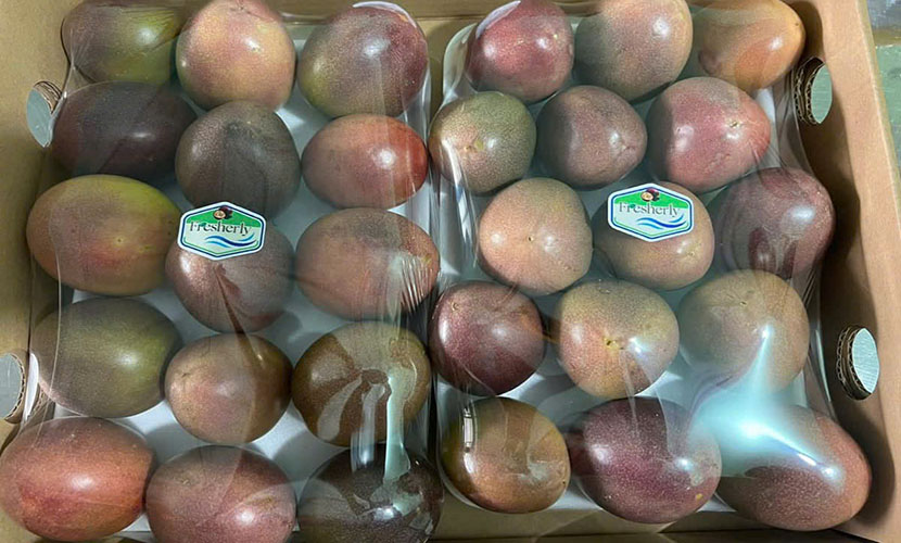 Vietnamese passion fruit exports