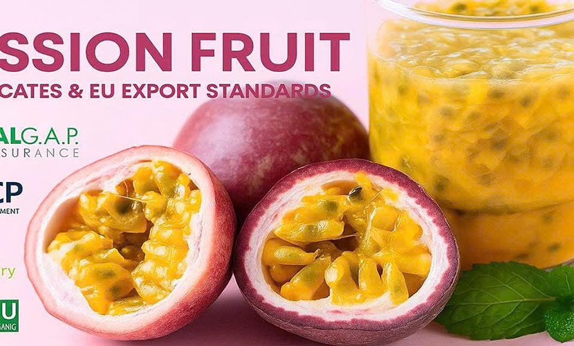 Vietnamese passion fruit