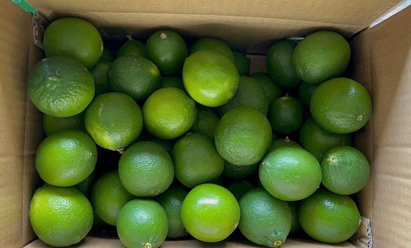 Seedless liime from Vietnam