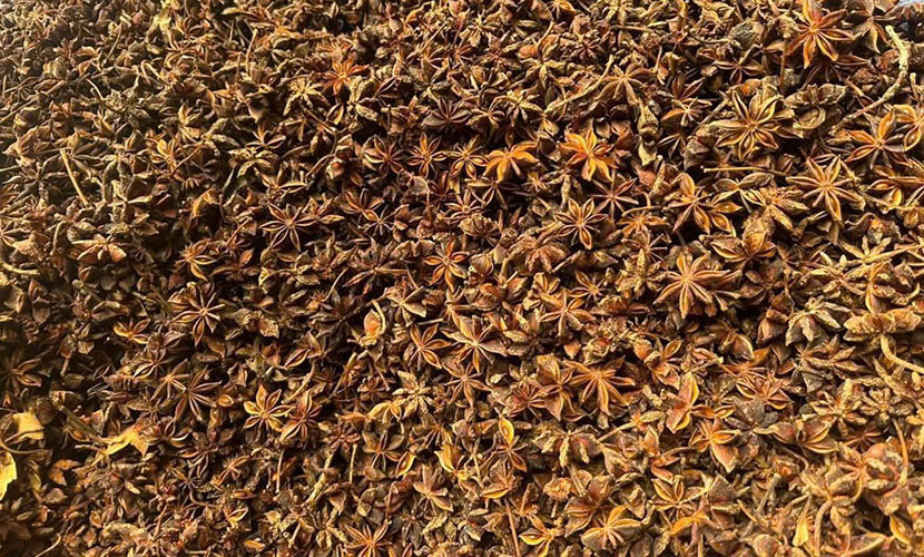 Star anise from Vietnam