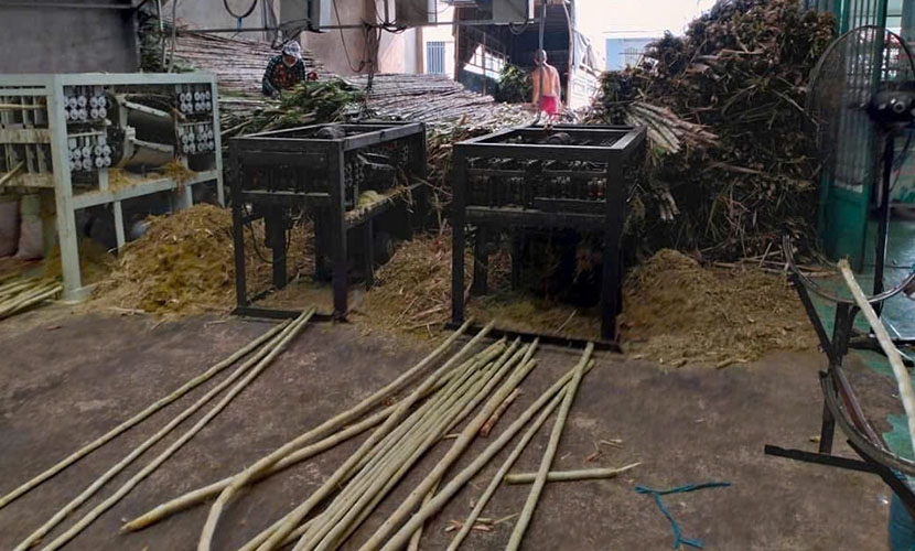 Removing skin of Vietnamese sugarcane