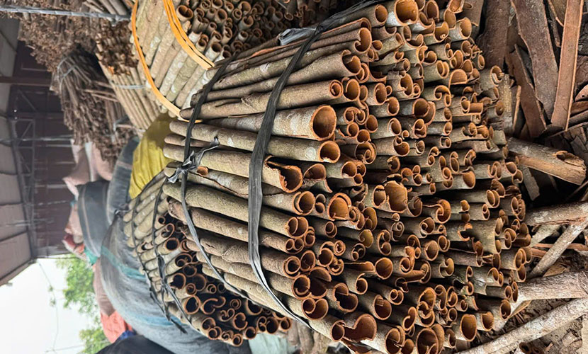 Whole cassia from Vietnam