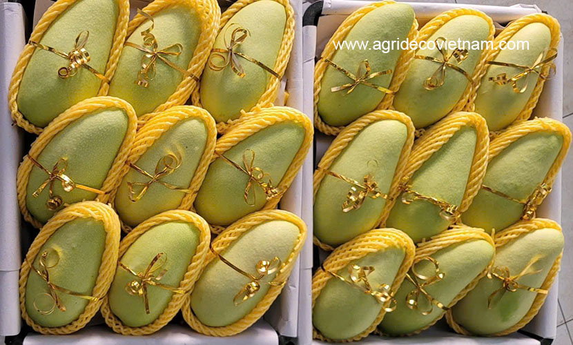 Yellow mango from Vietnam