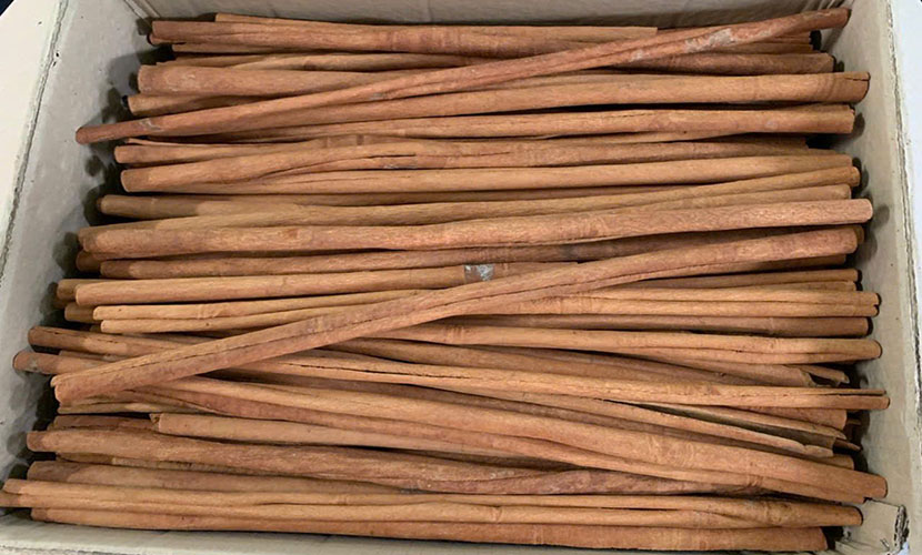 Vietnamese cinnamon for export