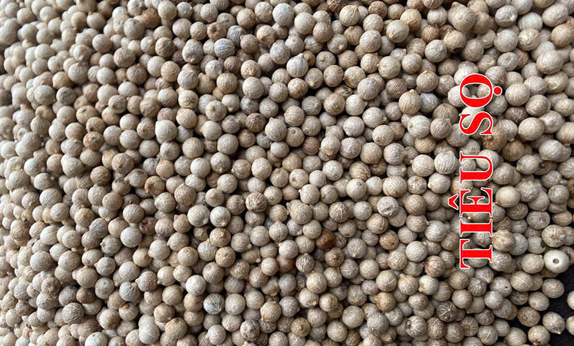 White pepper from Vietnam