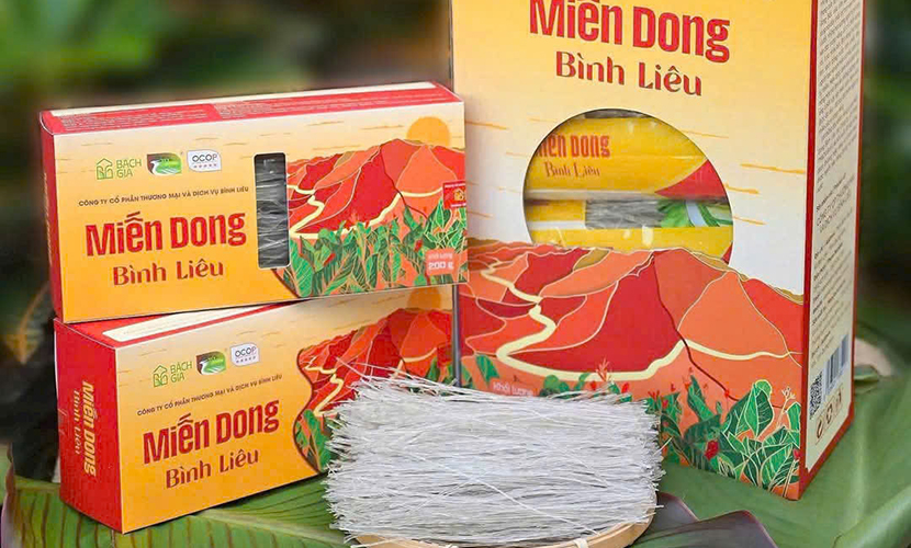 Binh Lieu canna starch vermicelli (Miến dong Bình Liêu)